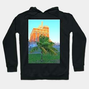 baby palm and the electricity museum Hoodie